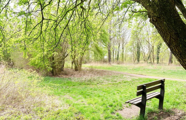 Peaceful Family Home in Elim - Foto 45