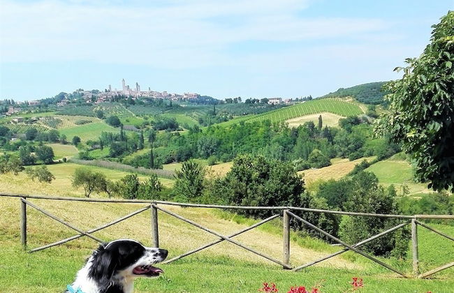 Agriturismo Poggiacolle - Foto 28