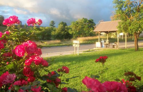 House Veljko - Foto 24