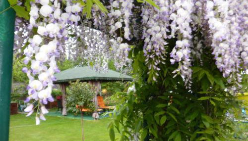 Ferienhaus Koehler - Foto 5