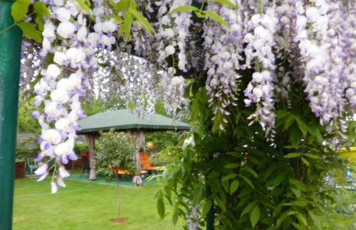 Ferienhaus Koehler - Foto 5