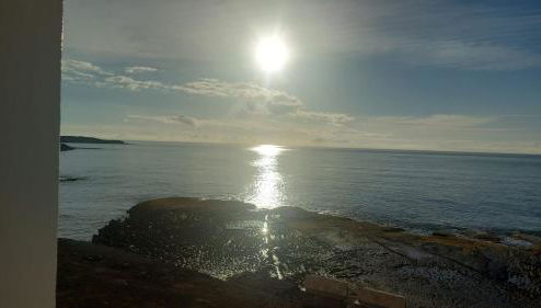 Caracola Home - Foto 1