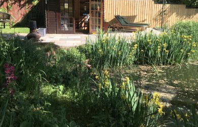 1 Bed in Woodbridge oc-stabu - Foto 27