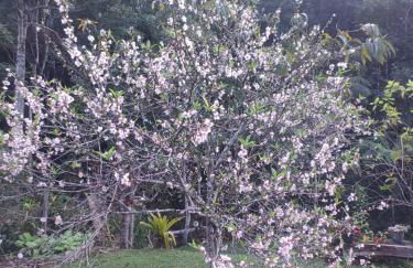 Chalé Vale das Flores - Visconde de Mauá Rj - Photo 10