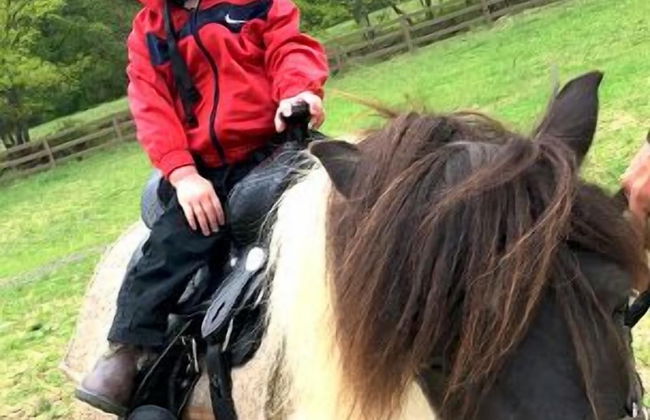 Creekside Resort - Foto 35