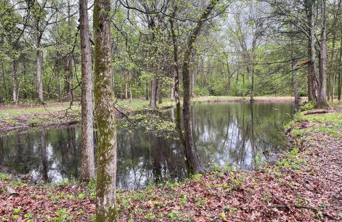 Charming Tiny Home! Close to Oxford, Sardis Lake, Safari Animal Zoo - Foto 11