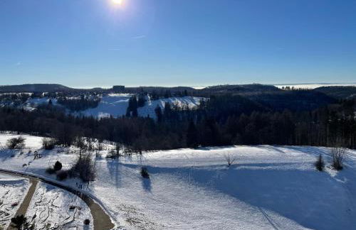 Modernes Harz Studio Apartment Ferienwohnung über den Baumspitzen - Foto 18