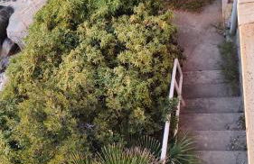 Sea Sicily View - Foto 16