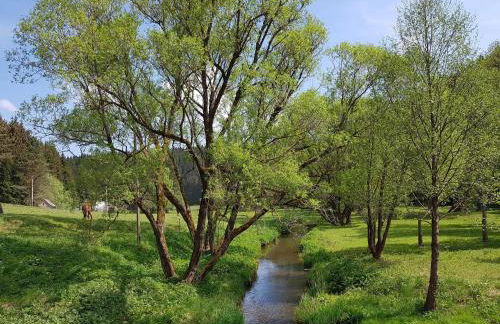 Ferienbungalow "Zum Brocken" - Foto 13