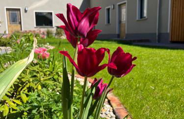 Südseequartier - Lausitzer Seenland - Foto 12