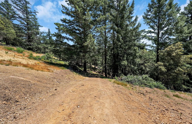 Mays Luxury Farm Stays - Foto 68