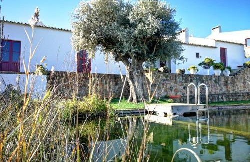 Casa Do Alto Da Eira - Foto 23