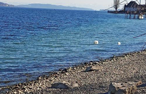 FeWo mit tollem Ausblick auf der Schwäbischen Alb. - Foto 9