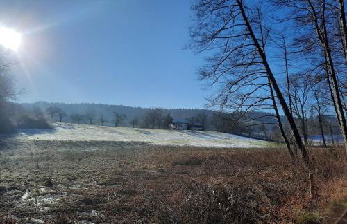 Ferientraum am Maibaum - Foto 16