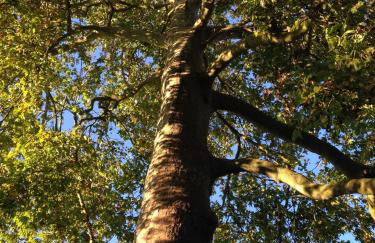 Moulin De Coupigny - Foto 75