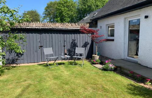 Newton Bothy - Foto 11