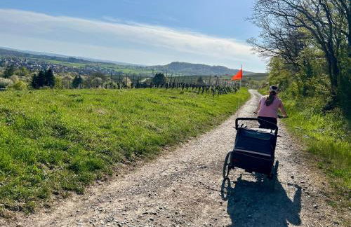 Ferienwohnung "Ruhe und Weitblick" Perfekte Anbindung - Foto 24