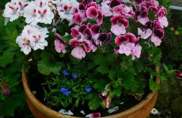 Ferienhof - Rauhenberg - Foto 36