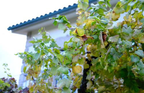 Casa Velha - Foto 21