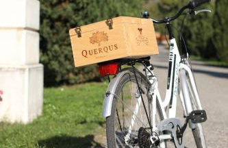 Villa Gradoni - Foto 35