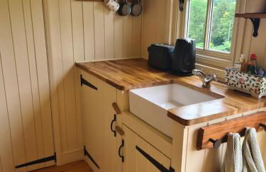 Shepherd's Hut in heart of the Brecon Beacons - Photo 27