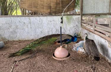 Hospedaria Recanto da Paz - Foto 63