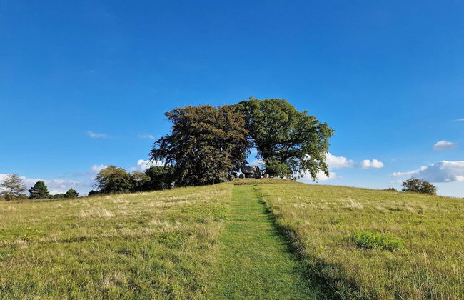 6 Person Holiday Home in Vordingborg - Foto 12