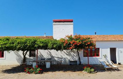 Monte do Arneiro - Foto 47