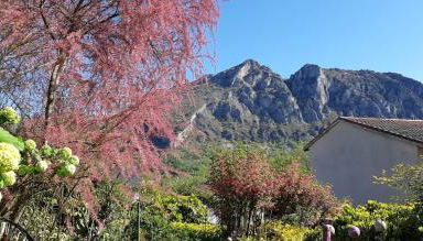 Gites Le Clos des Pradals - Foto 2