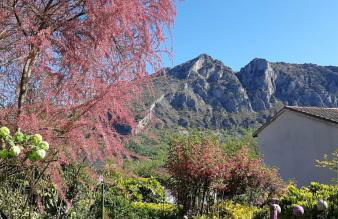 Gites Le Clos des Pradals - Foto 2