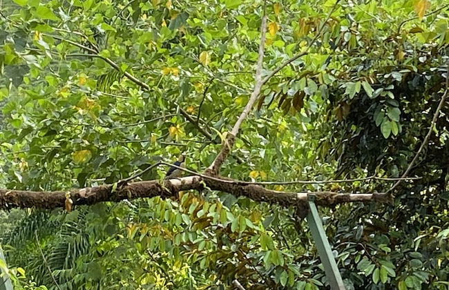 Esquipulas Rainforest - Foto 33