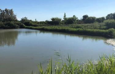 Le Pont Rouge Roulotte - Foto 16