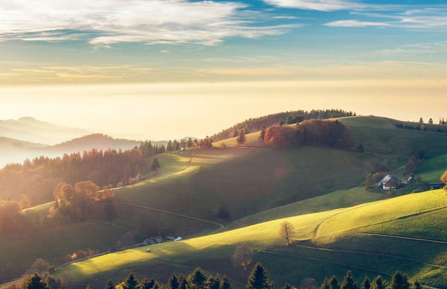 Hideaway Near Black Forest - Foto 22