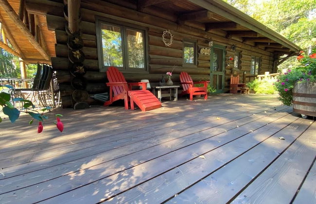 Two Bear Lodge on Lost Land Lake - Photo 41