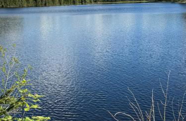 BergOase-Apart am Feldberg - Foto 44