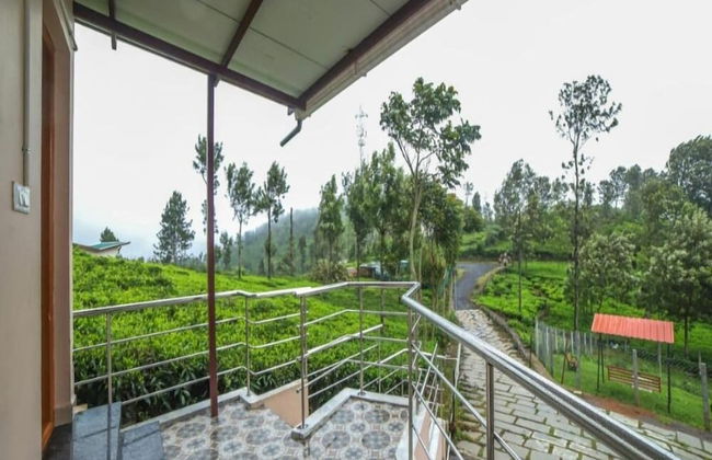 Blue Nile Suits By Indostay - Foto 8