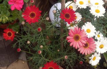 Domek Jancio Wodnik - Photo 9