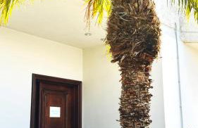 Villa Katrin - Foto 37