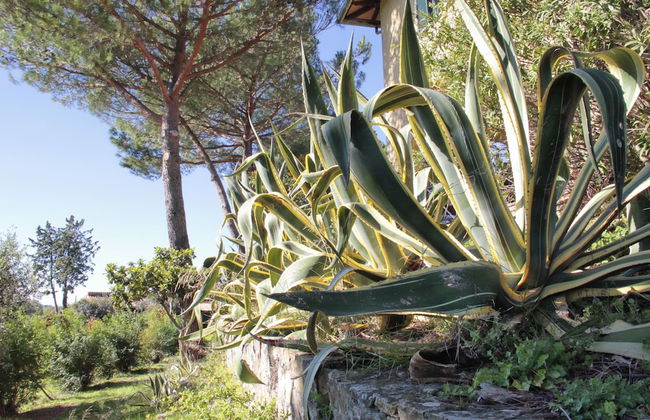 Agriturismo Anna De Croy - Foto 32