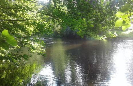 Bubi Niedlich - Foto 37