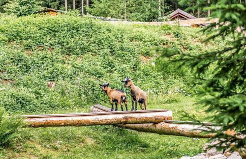 Retreat with Sauna, Hot Tub - Foto 7