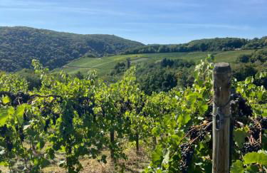 Ferienwohnung am Scheidskopf - Foto 2