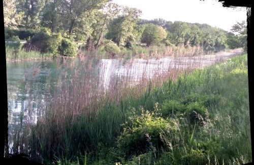 Residence Stradella Verde - Photo 28