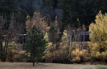 The Little Pine - Foto 15