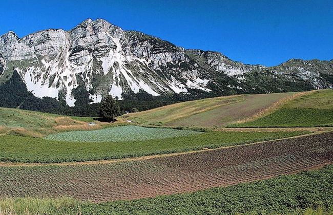 Agritur Piazera 3 - Foto 10