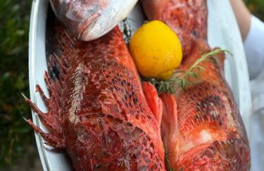 Stermasi Apartments - Photo 7