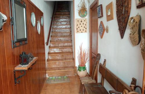 Can Molone - Foto 21