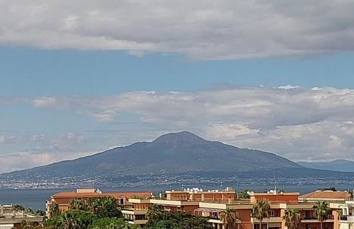 MarioSuite - Photo 29