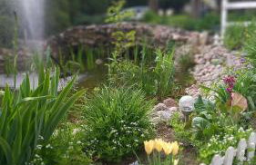 Agroturystyka POD KASZTANEM - Foto 19