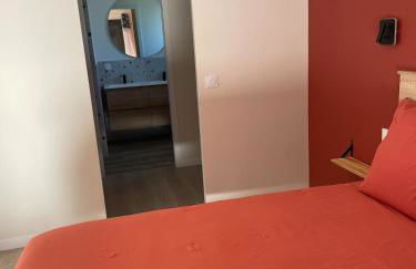 Maison au coeur des pyrenées - Foto 13